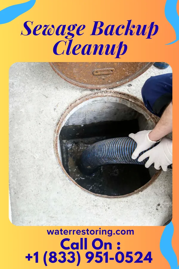 Sewage Backup Cleanup in Shelby, MS