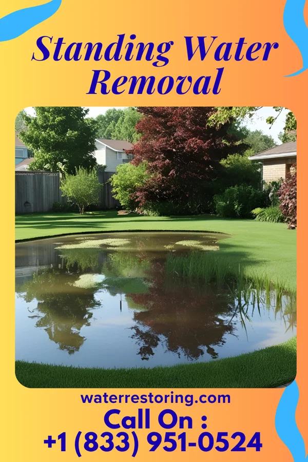 Standing Water Removal in Shelby, MS